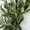 R, variant on Upgraded Artificial Wreath Wall Wreath For Living Room Wall Front Door Decoration Olive Wreath Realistic Greenery For Year Round Home Decor Classic S