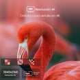 thumbnail image 5 of Pantalla Hisense 43 Pulgadas Hisense Smart TV UHD 4K 43A6H Google TV Led, 5 of 5