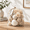 Natural White, variant on Large Decorative Balls Bowl Filler Decor Orbs White & Cream (white)