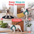 thumbnail image 3 of Voyager Step-in Air Dog Harness - All Weather Mesh Step in Vest Harness for Small and Medium Dogs and Cats - Harness (Turquoise 2-Tone), M (Chest: 16-18"), 3 of 8