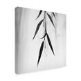 thumbnail image 2 of Trademark Fine Art 'Willow Print No. 2' Canvas Art by Nicholas Bel, 2 of 3
