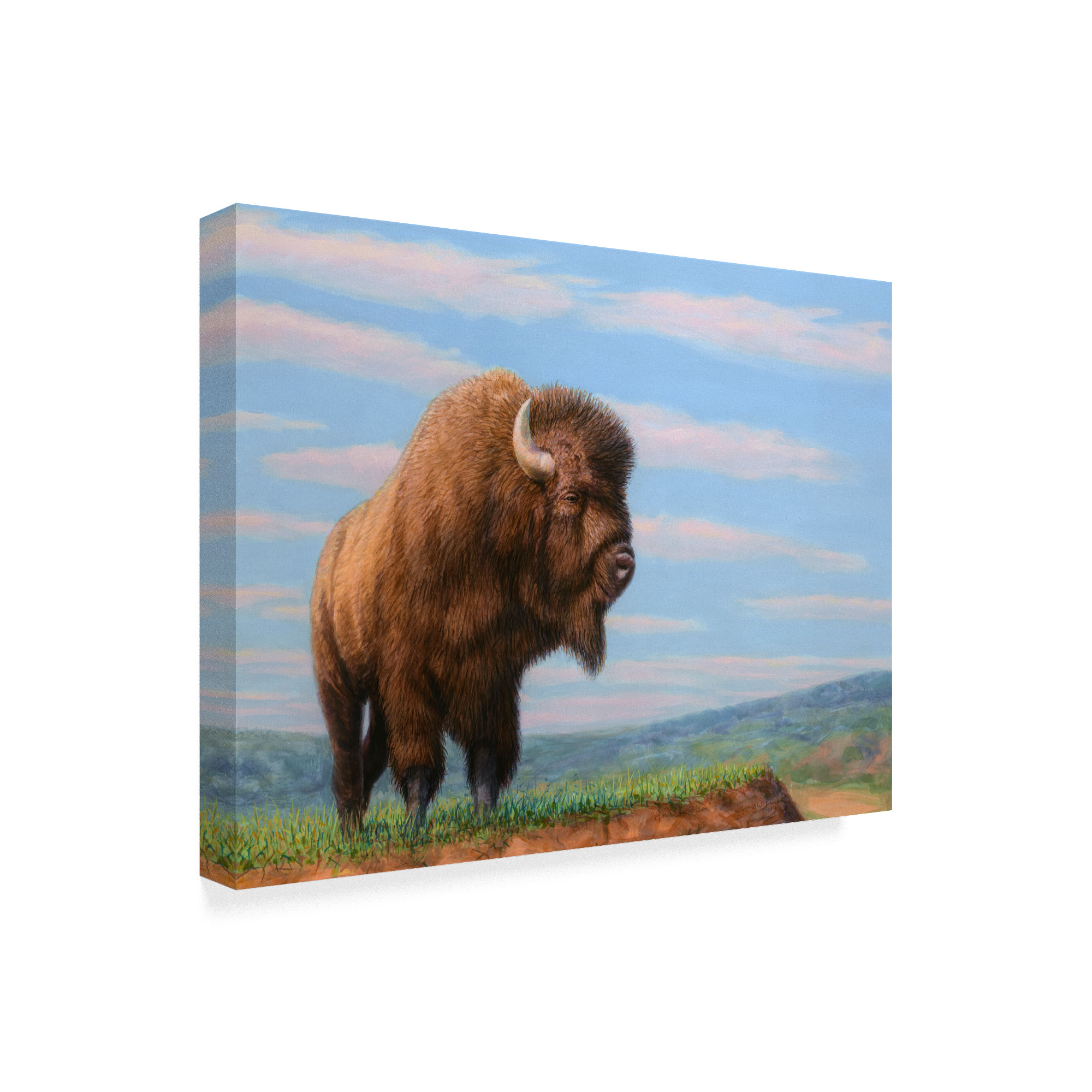 Trademark Fine Art 'American Bison' Canvas Art by James W. Johnson