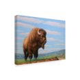 thumbnail image 2 of Trademark Fine Art 'American Bison' Canvas Art by James W. Johnson, 2 of 3