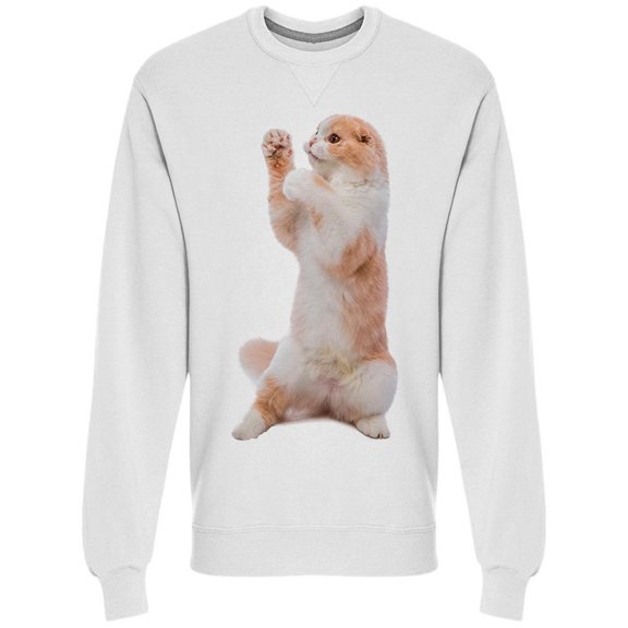 Cute Cat Standing In Two Legs Sweatshirt Men -Image by Shutterstock Men Sweatshirt, Male Small