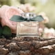 thumbnail image 2 of CHLOE ROSE NATURELLE INTENSE by Chloe , EAU DE PARFUM SPRAY 1.7 OZ, 2 of 2