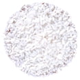 thumbnail image 3 of Lifelike Fake Rice Model for Decoration Made of Plastic White Color Fits Home Bakery 1 Bag, 3 of 8