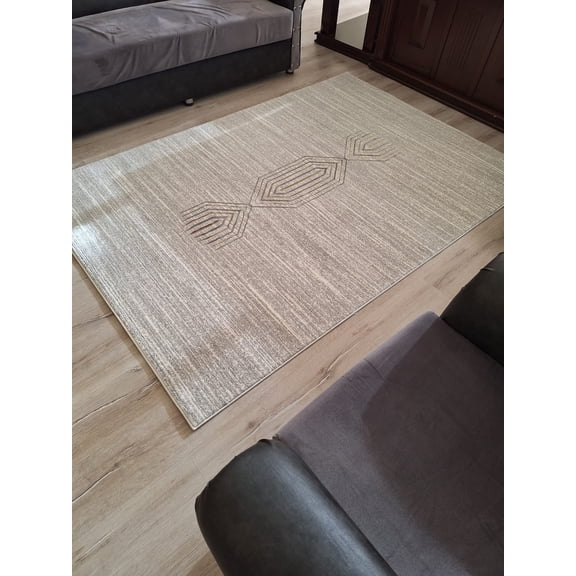 SIGNATURE Modern Stylish Living Room Rug DESIGN 5203 - 7'8"x10'8", Grey