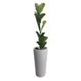 thumbnail image 1 of Jarron Maceta minimalista conica alta Green Boutique resistente para planta natural o artificial mediana, 1 of 5