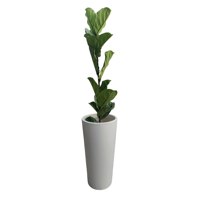Jarron Maceta minimalista conica alta Green Boutique resistente para planta natural o artificial mediana