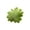 Green, variant on OANLKGI Maple Leaf Throw Pillow 15.75 x 15.75 IN Fall Leaf Pillow Decorative Cushion Accent Pillow for Couch Sofa Bed Chair Living Room Thanksgiving Decoration Living Room Dining Room Orange