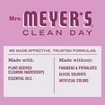 thumbnail image 4 of All Purpose Cleaner Spray Multi Surface Cleaner Spray Bottle as: Floor Cleaner, Counter Cleaner & More Peony Scented Cleaner, 16 Fl OZ Per Bottle, 4 Bottles, 4 of 7