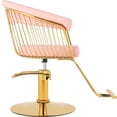 thumbnail image 3 of Silla Circular Gold Estetica Spa Ajustable Giro 360 Rosa Nanofort, 3 of 8