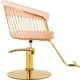 thumbnail image 3 of Silla Circular Gold Estetica Spa Ajustable Giro 360 Rosa Nanofort, 3 of 8
