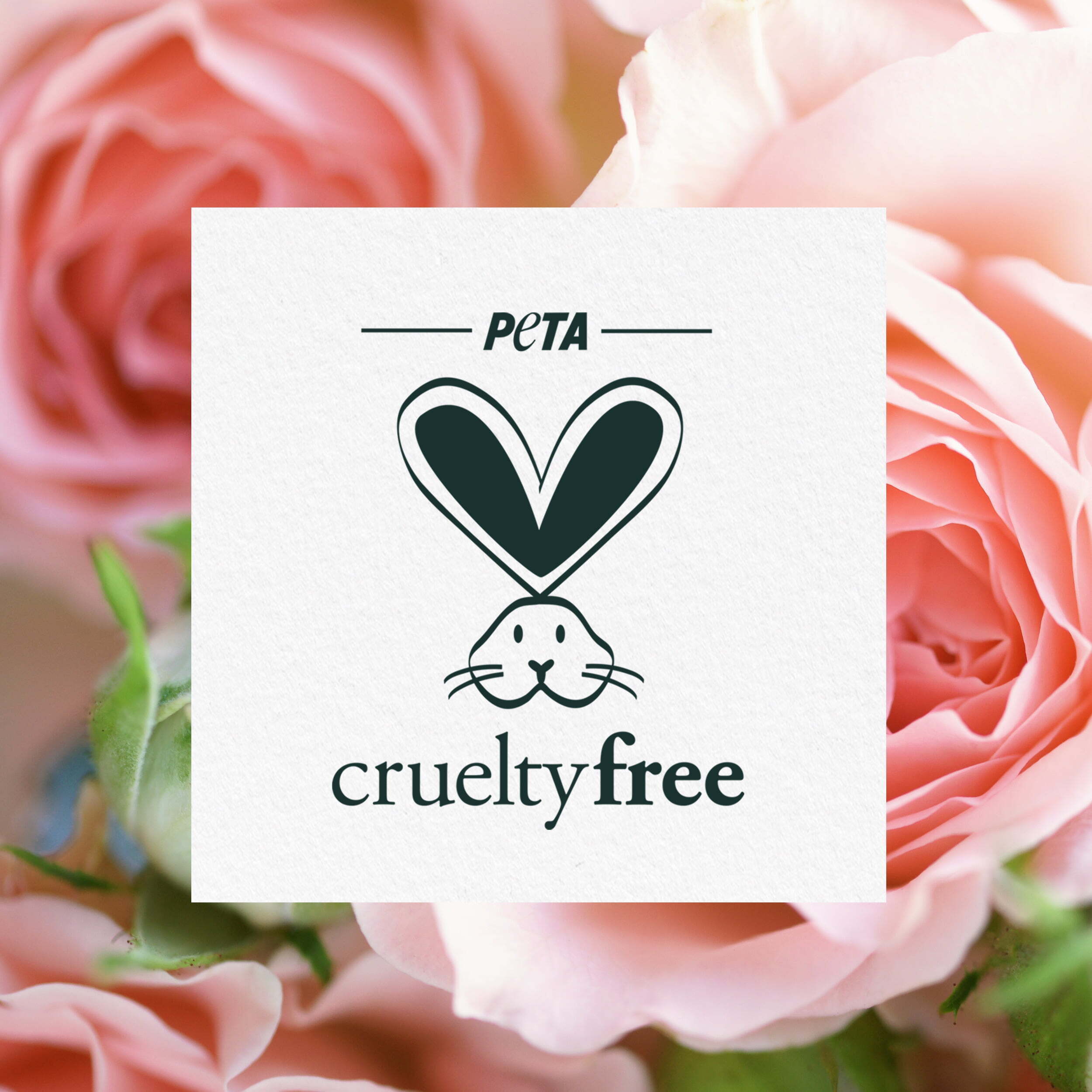 Imagen de producto 6