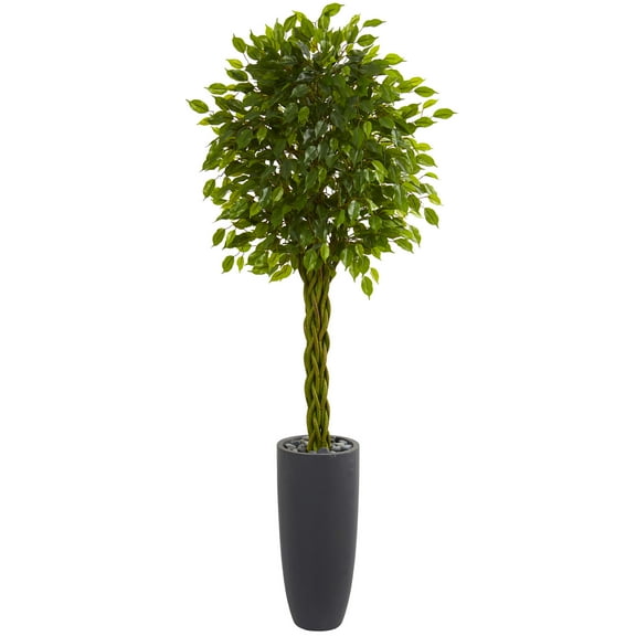 Nearly Natural 6.5’ Braided Ficus Artificial Tree in Planter UV Resistant