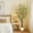 5FT(with light), variant on Ataucjin Ataucjin Artificial Eucalyptus Tree,5ft Realistic Artificial Eucalyptus Tree with White Planter, Large Faux Floor Plant with Lights, Ideal for Home Office & Living Room Decor
