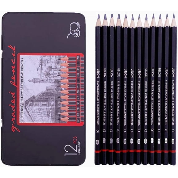 Duslogis 12 Pcs Professional Sketching & Drawing Art Tool Kit Graphite Pencils, 8B-2H ,Ideal for Drawing Art, Sketching