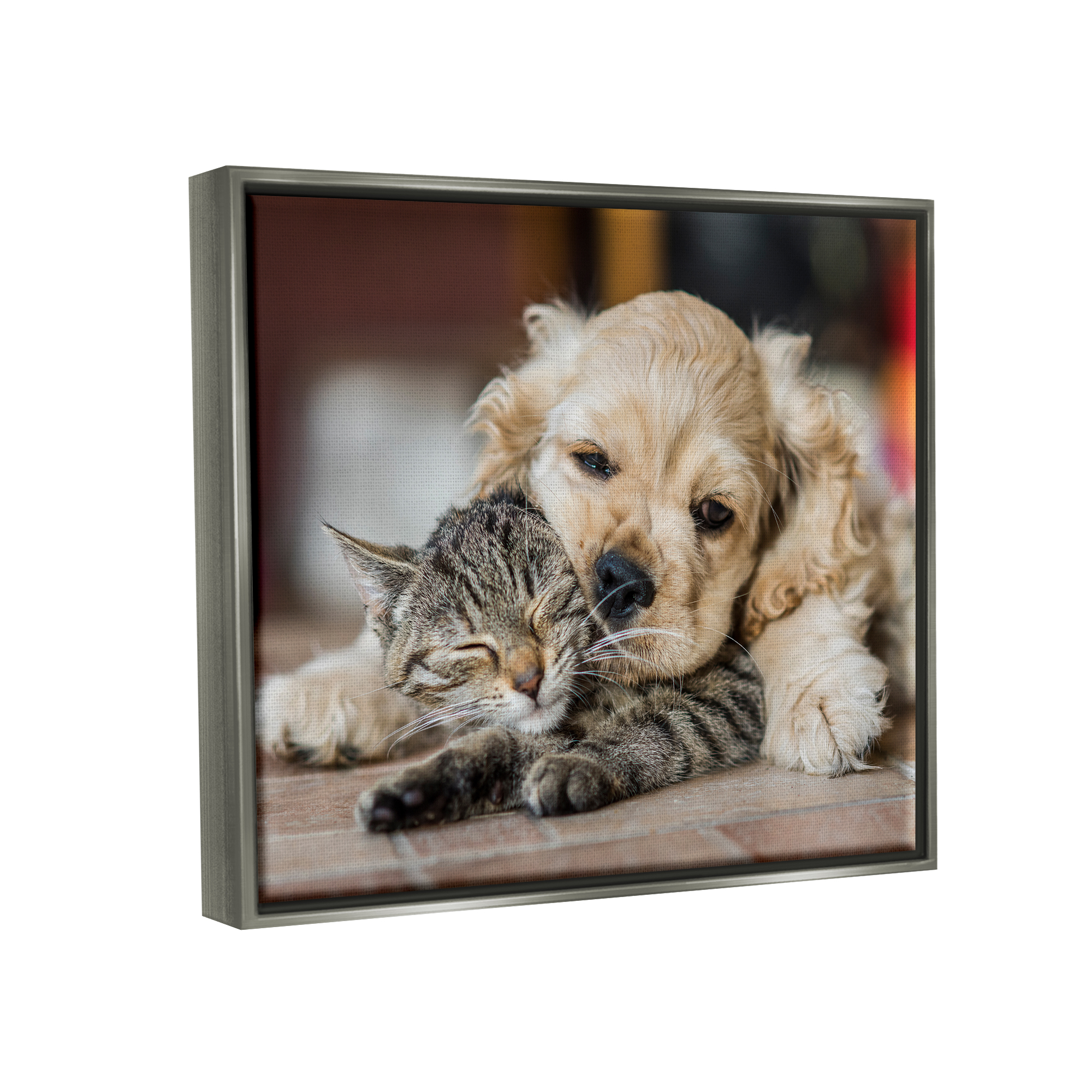 Stupell Industries Cat & Puppy Cuddling Animals & Insects Photography Gray Floater Framed Canvas Art Print Wall Art, 21 x 17