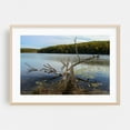 thumbnail image 2 of Lake Taghkanic State Park - Ancram New York Photography Lake Water Autumn Scenic Nature Landscape Woodland Unframed Wall Art Print 12 x 18 inches, 2 of 7
