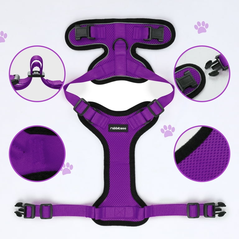 Catloveページ Women's Floral Cat Eye Shape Eyeglasses Online | Zeelool