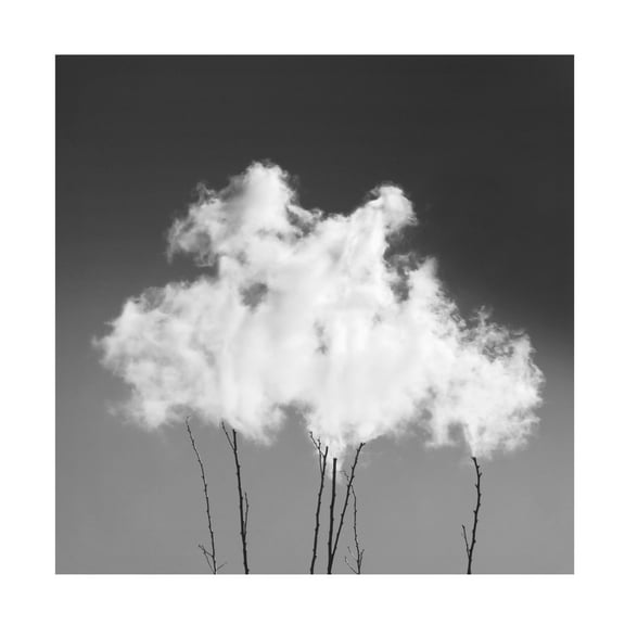 Canvas Wall Art - Mostafa Nodeh 'Sky' Wall Art for Living Room, Bedroom, or Office Décor by Trademark Fine Art - 14 x 14 Inches