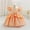 Orange, variant on SERTG Little Girls' Party Dress Sheer Paneled Skirt with Back Zipper Short Sleeve Round Neck Princesse Outfit for 6 Months-4 Years(Hot Pink,4 Years)