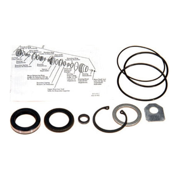 Steering Gear Pitman Shaft Seal Kit - Compatible with 1965 - 1972 Dodge Coronet 1966 1967 1968 1969 1970 1971