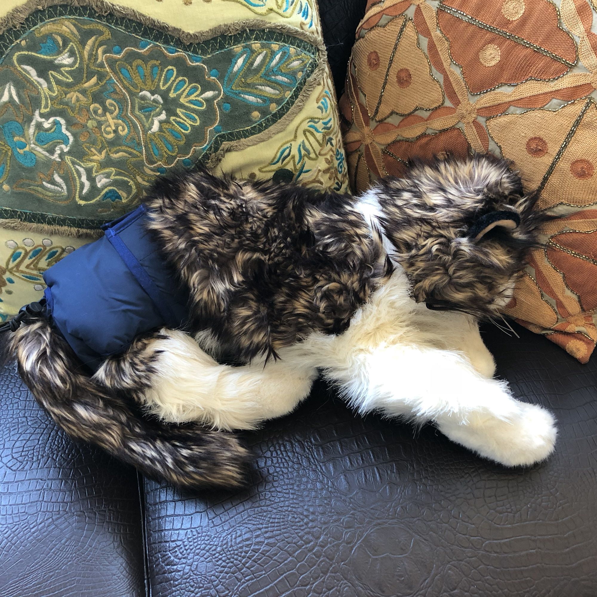 PACK – 3pcs Dog Cat Diapers Female WASHABLE Reusable For SMALL and LARGE Pet Absorbent Pad sz Small (waist: 13" - 17")