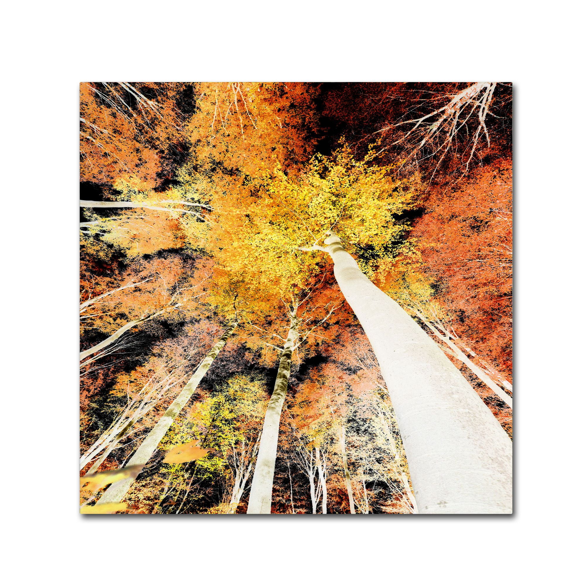 Trademark Fine Art "Damn Nation" Canvas Art by Philippe Sainte-Laudy