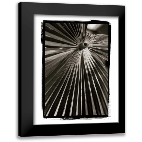Debra, Van Swearingen 12x14 Black Modern Framed Museum Art Print Titled - Palm Frond I