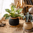 thumbnail image 3 of Faux Bamboo Woven Cement Planter, 3 of 13