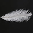 thumbnail image 4 of 30 Pcs de Plumes d'Autruche Blanches Naturelles 20-25cm Mariage DIY, 4 of 7