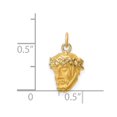 thumbnail image 4 of FB Jewels 14K Yellow Gold Hollow Polished Satin Small Jesus Medal Pendant, 4 of 4