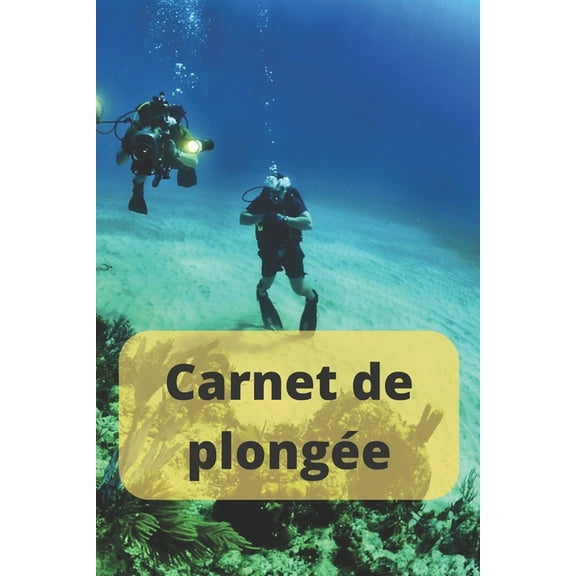 Carnet de plongée: Carnet de bord pour plongeurs - jusqu'à 100 plongées (Paperback)