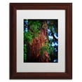 thumbnail image 3 of Trademark Fine Art "Giant Sequoia" Canvas Art by Philippe Sainte-Laudy, White Matte, Wood Frame, 3 of 4