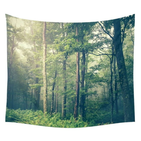 Au Forest Lake Landscape Tapestry Wall Hanging Comfy Psychedelic Bedroom Decor Canada - Forest Wall Tapestry Australia