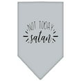 thumbnail image 3 of Pet and Dog Bandana Screen Printed, "Not Today Satan", 3 of 10