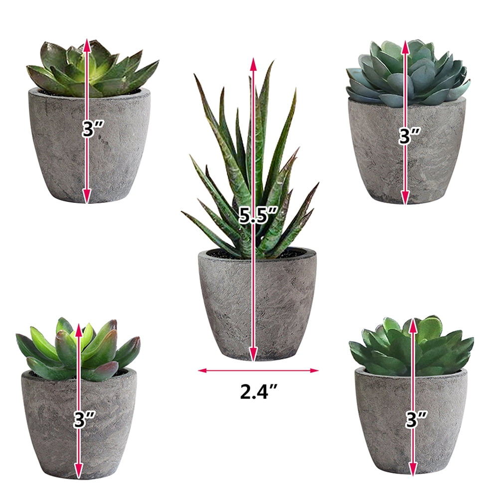 Kadyn 5Pcs Artificial Succulent Cactus Plants, Faux Succulent Cactus Plants with Gray Pots, ABS Plastic Artificial Cactus Plants for Home Decor, Green