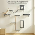 thumbnail image 3 of Cat Wall Shelves Perches Set, DOMIPET 5 in 1 Wall Furniture, Sleeping Playing Lounging Climbing Wall-mounted Cat Tree House for Multiple Cats, 3 of 7
