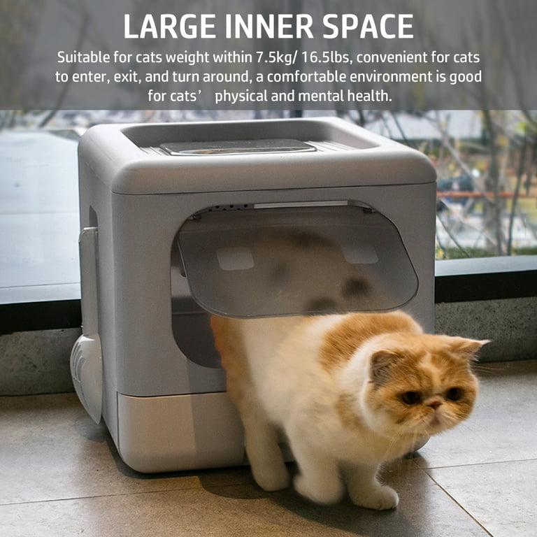Kitty Litter Emergency Toilet