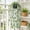 Gn7, variant on Clearance Artificial Hanging Vine Plant with Pot, Potted Trailing Greenery for Home Wall Room Indoor Decoration(A)