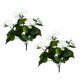 thumbnail image 2 of 2 Piezas 12 6 Pulgadas Arbusto Geranio Artificial Flores Imitación No Tejidas Geranios () Blanco, 2 of 4