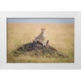 thumbnail image 1 of Taylor, Ted 18x13 White Modern Wood Framed Museum Art Print Titled - Regal Protector, 1 of 4