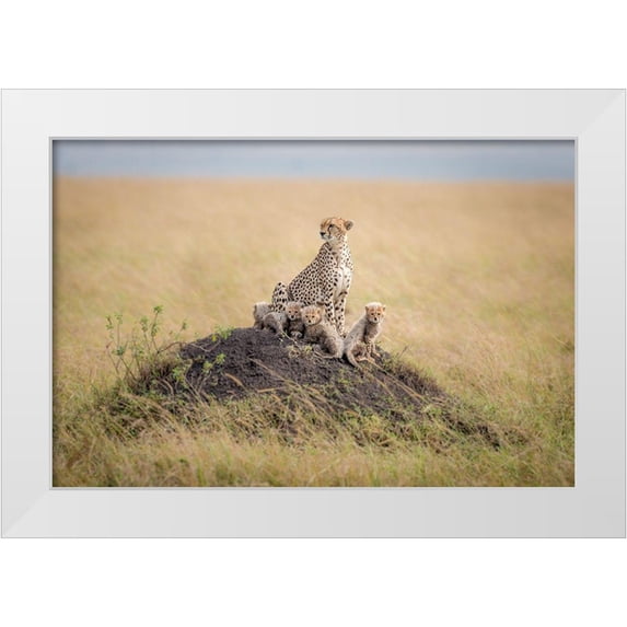 Taylor, Ted 18x13 White Modern Wood Framed Museum Art Print Titled - Regal Protector