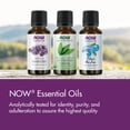 thumbnail image 6 of NOW Essential Oils, Lemongrass Oil, Uplifting Aromatherapy Scent, Steam Distilled, 100% Pure, Vegan, Child Resistant Cap, 1-Ounce, 6 of 7