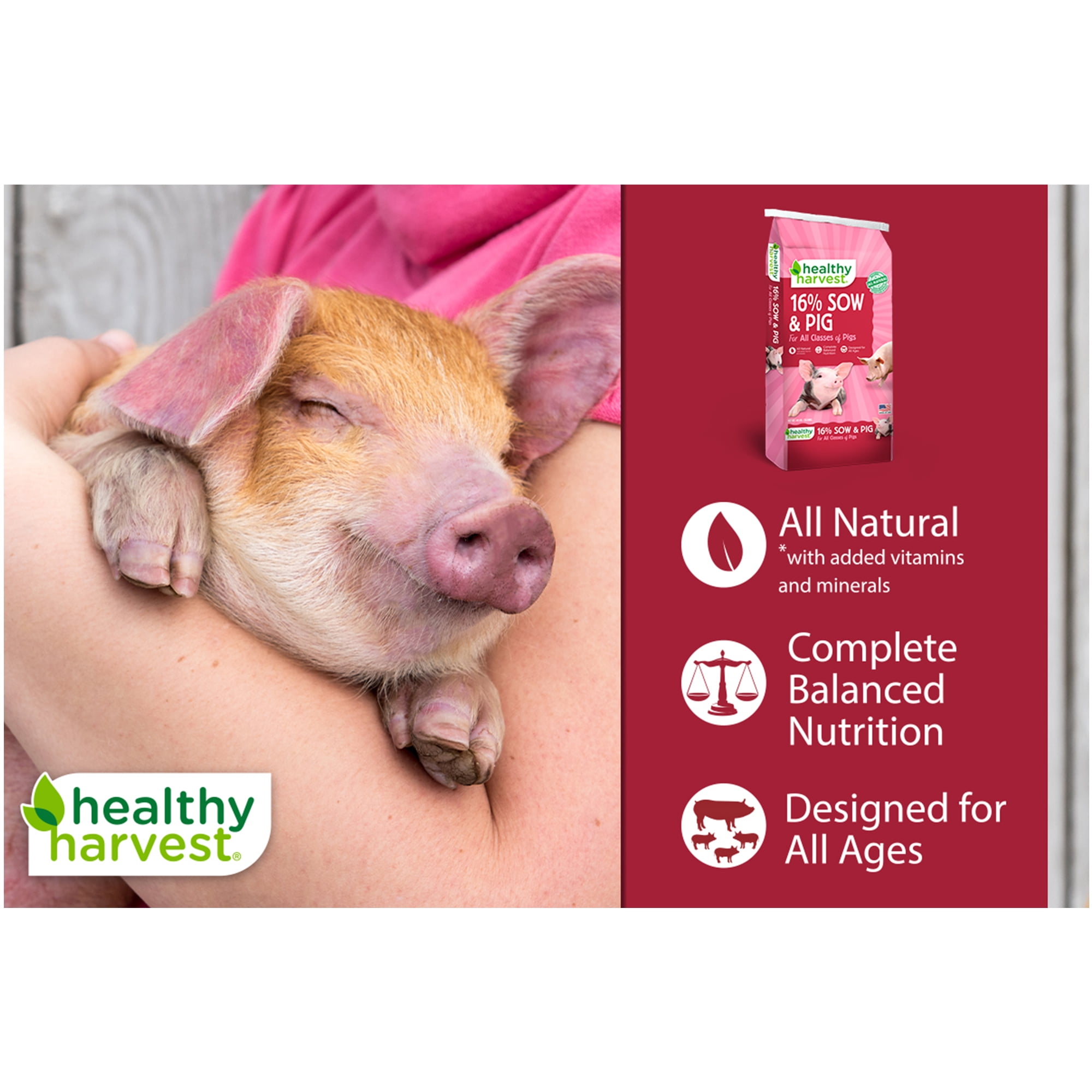 (3 pack) Healthy Harvest 16% Sow & Pig Pellet Feed, 40 lb Bag