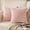 Pink, variant on Pack of 2 Burgundy Super Soft Plush Fluffy Decorative Throw Pillow Covers 18x18 inch 45 x 45 cm Faux Fur Wool Velvet Cushion Covers Pillow Cases Couch Sofa Bed Living Room