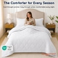thumbnail image 7 of Loomsnest 3-Piece Full/Queen Comforter Set, All Season Duvet Insert, Soft, Lightweight, Diamond Stitched, Reversible Down Alternative Comforter (White), 7 of 7