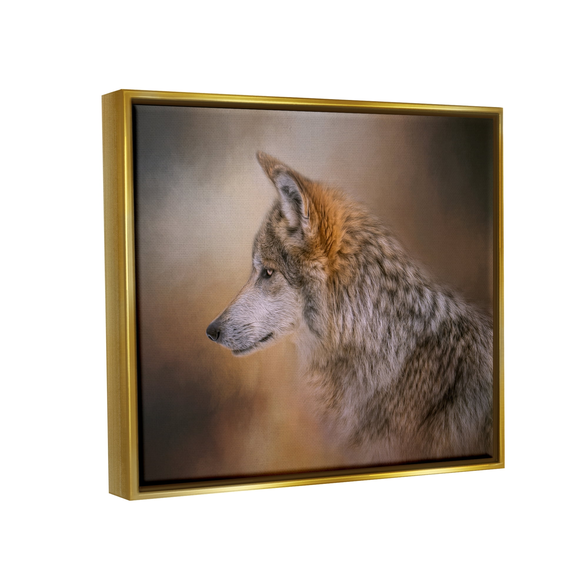 Stupell Wildlife Wolf Portrait Photography Animals & Insects Photography Gold Floater Framed Art Print Wall Art
