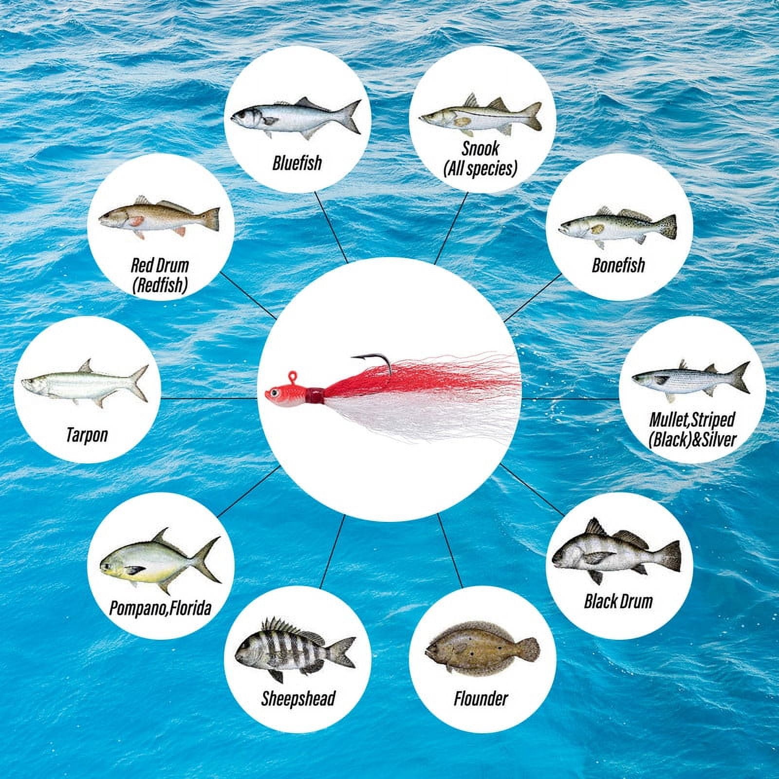 269pcs Complete Surf Fishing Tackle Kit Bucktail Jigs Lead Pyramid Sinkers Lure